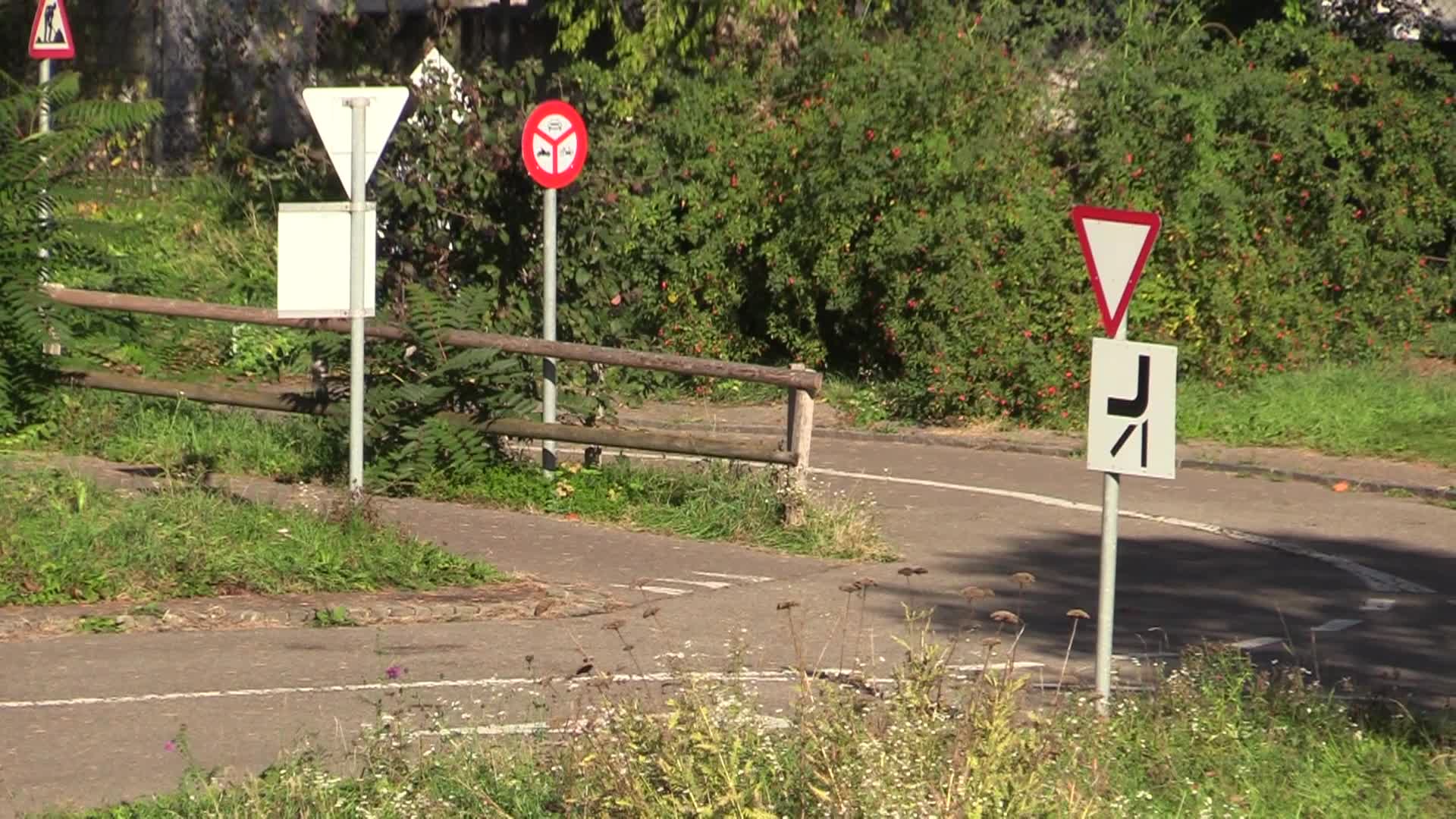 Thumbnail image for Perils for Pedestrians - 278