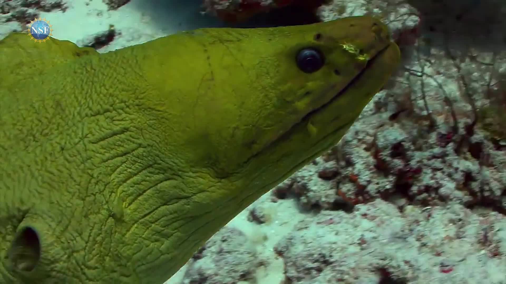 Science 360 - Episode 36