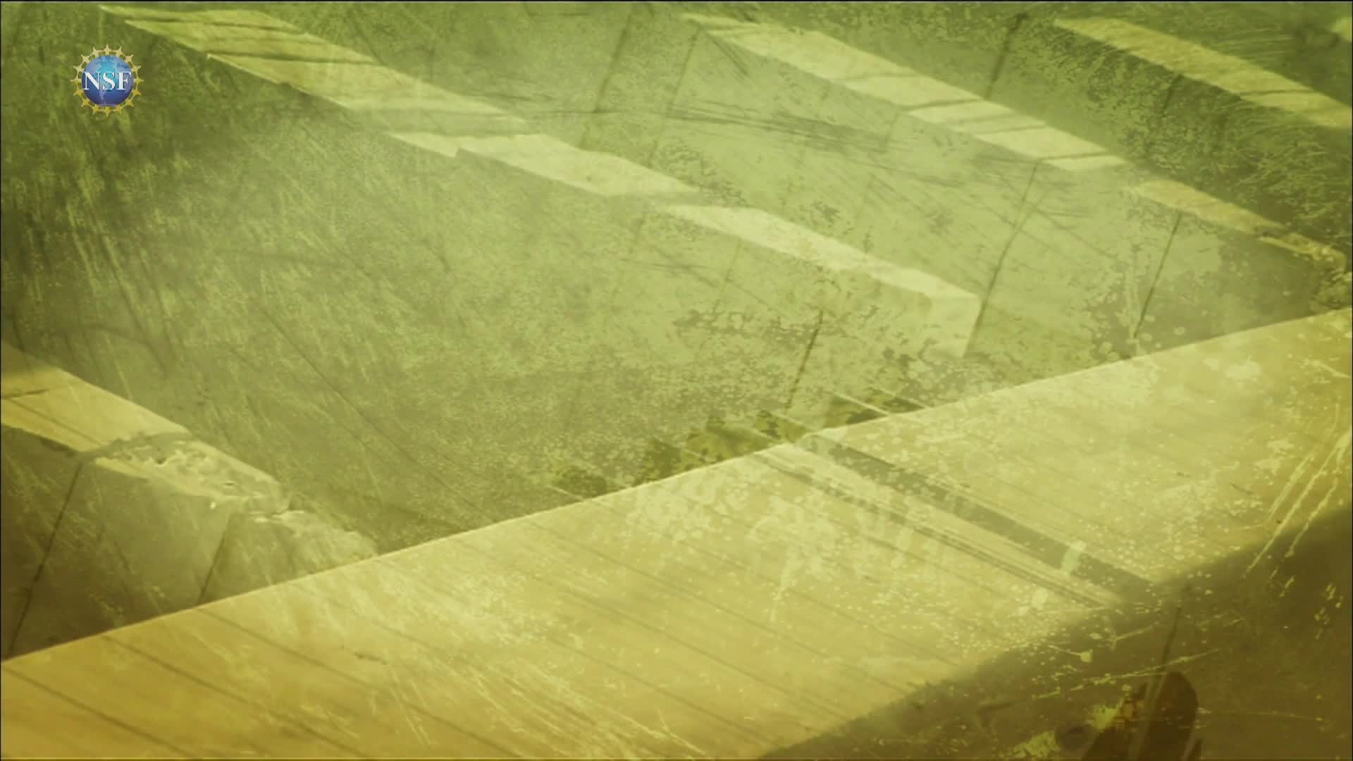 Science 360 - Episode 42