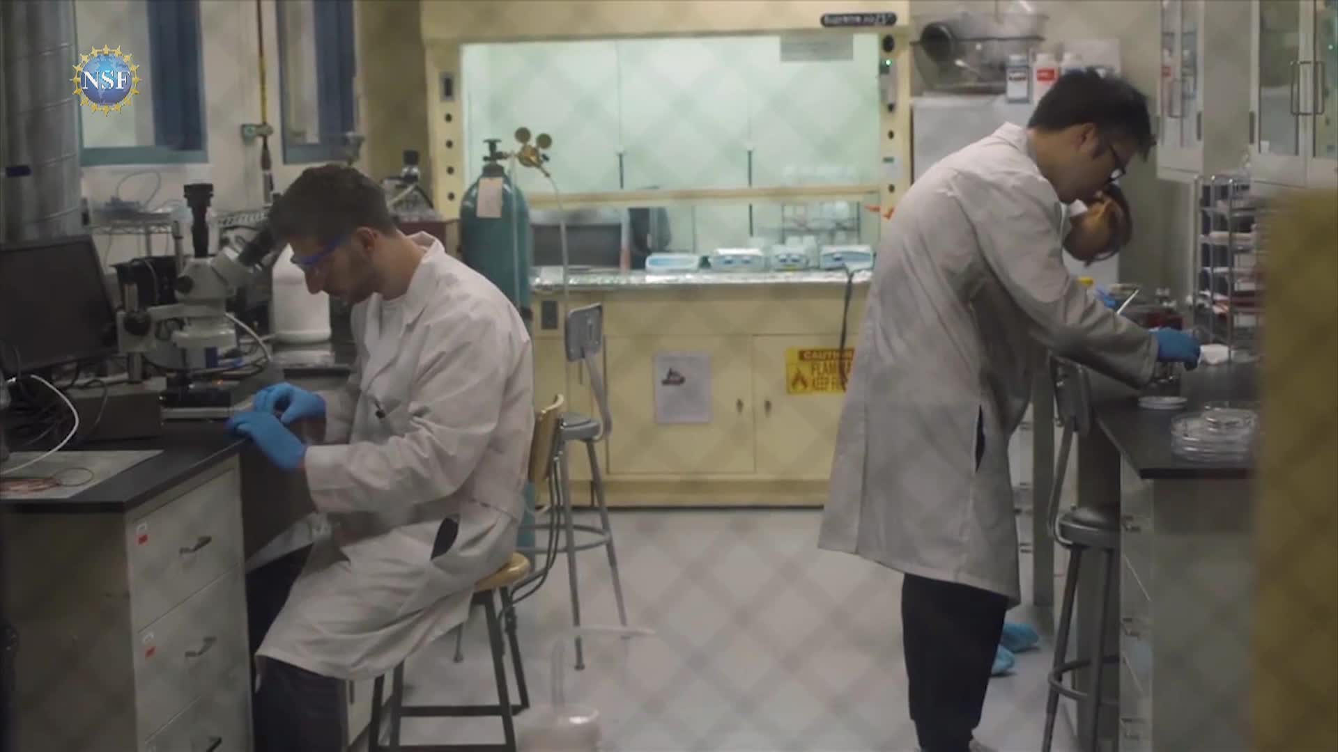 Science 360 - Episode 44