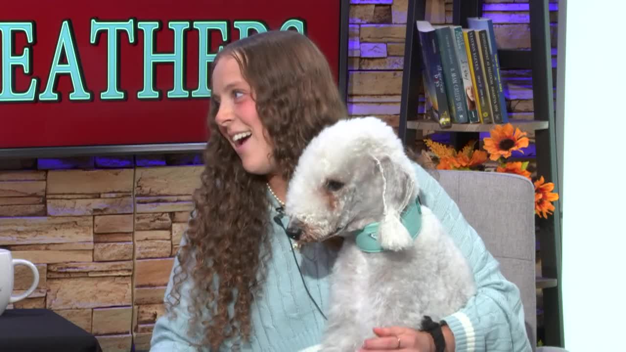 Fur, Fins and Feathers - Episode 133